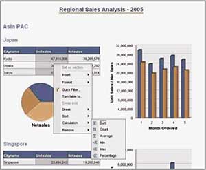 SAP BusinessObjects Edge BI, standard package, offers midsize companies an extensive BI solution
