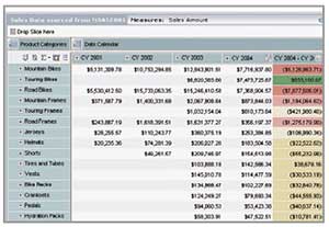 SAP BusinessObjects Edge BI, standard package, offers midsize companies an extensive BI solution